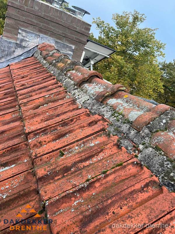 Verweerd hellend dak met mosgroei op nokvorst in Drenthe