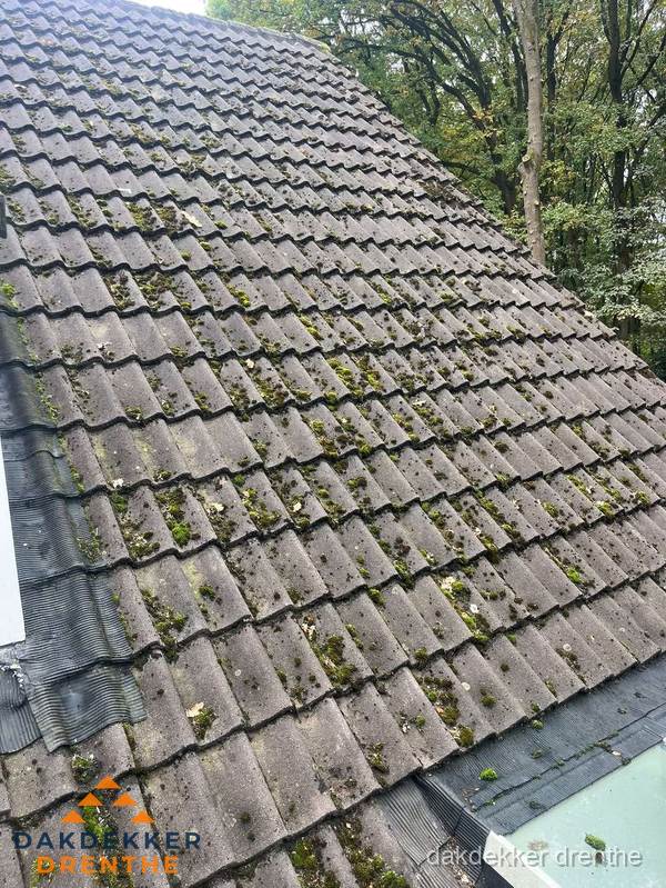 Verweerd pannendak met mosgroei dat renovatie nodig heeft in Drenthe