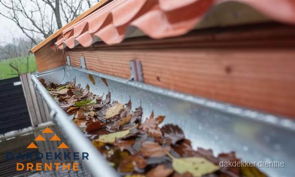 Dakgoot vol bladeren die gereinigd moet worden in Drenthe