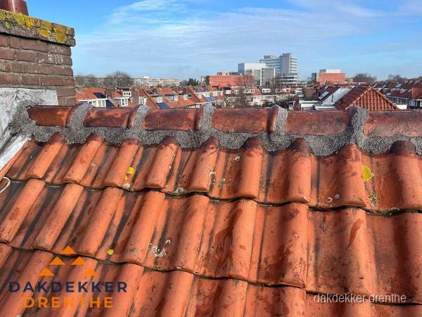 Pannendak met nokvorst en schoorsteen, dakrenovatie in Drenthe