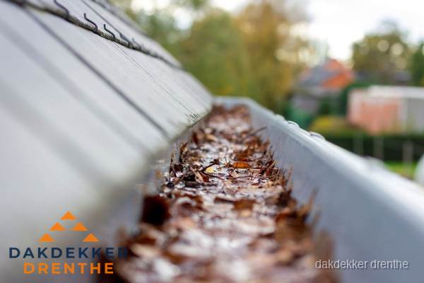 Verstopte dakgoot met bladeren schoonmaken in Drenthe Verstopte dakgoot met bladeren schoonmaken in Drenthe